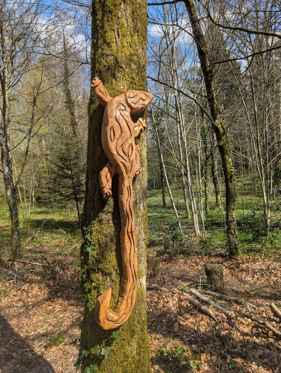 Lézard